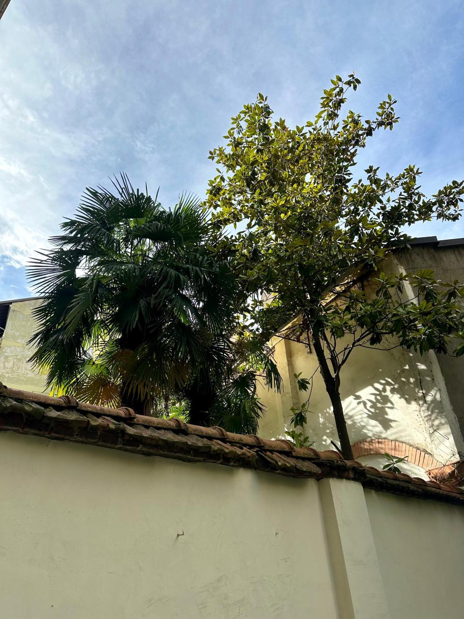Lr Deluxe Apartments - Porta Venezia - Bilocale Con Giardino Privato Milan Luaran gambar
