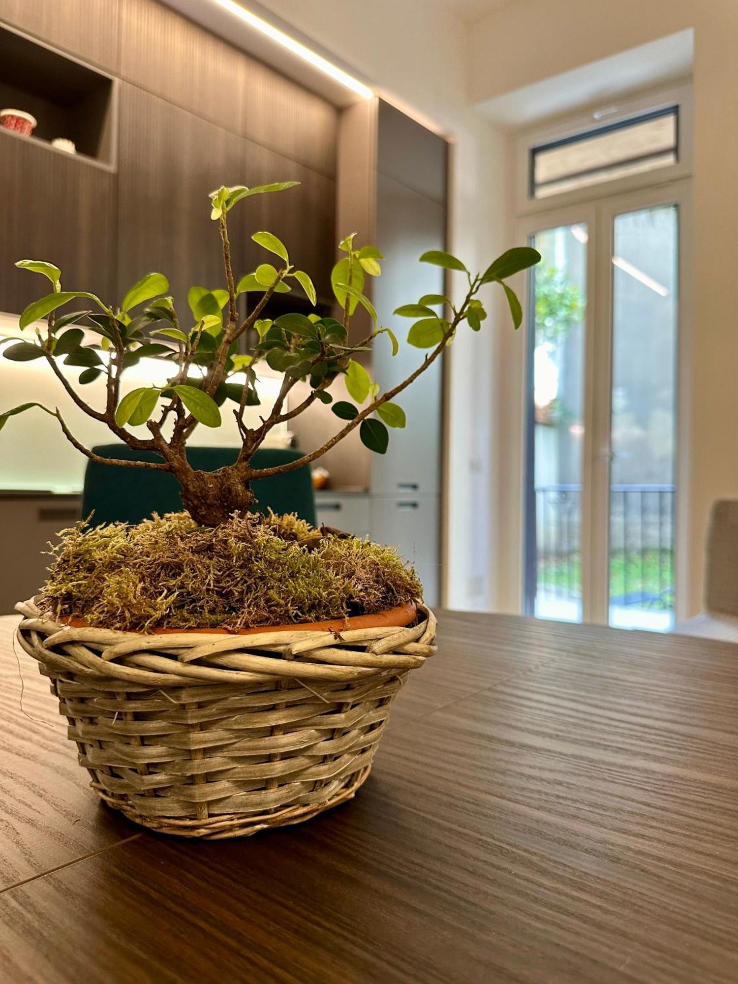 Lr Deluxe Apartments - Porta Venezia - Bilocale Con Giardino Privato Milan Luaran gambar
